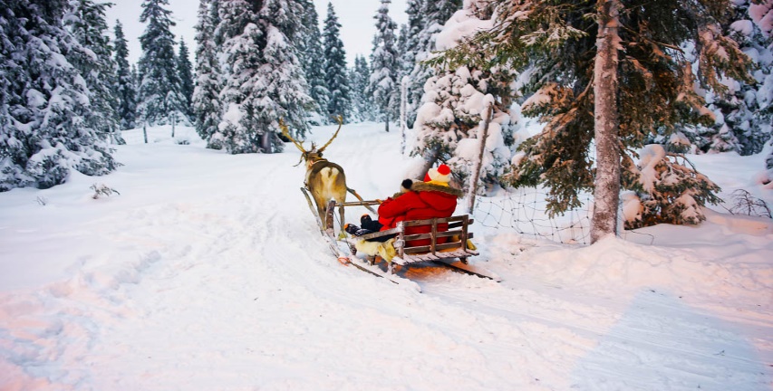 Reindeer Safari with Authentic Sami Dinner - Kated