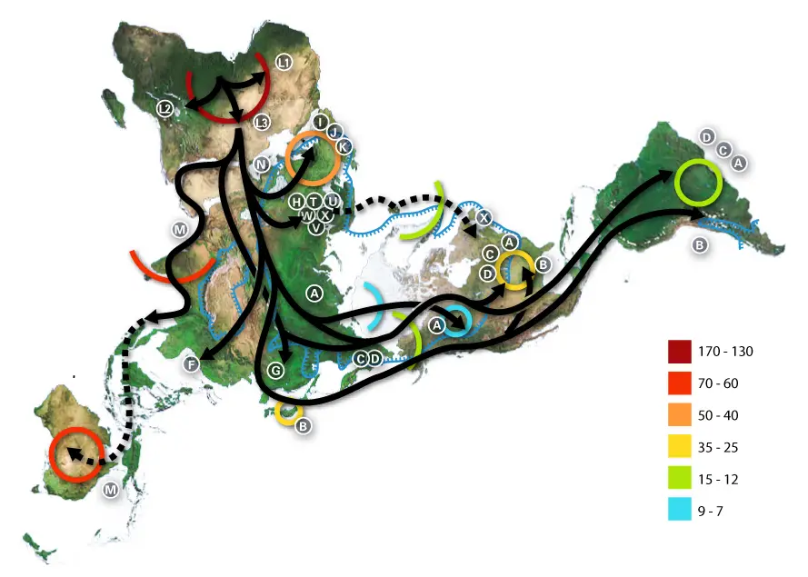 World map of prehistoric human migrations based on mitochondrial population genetics