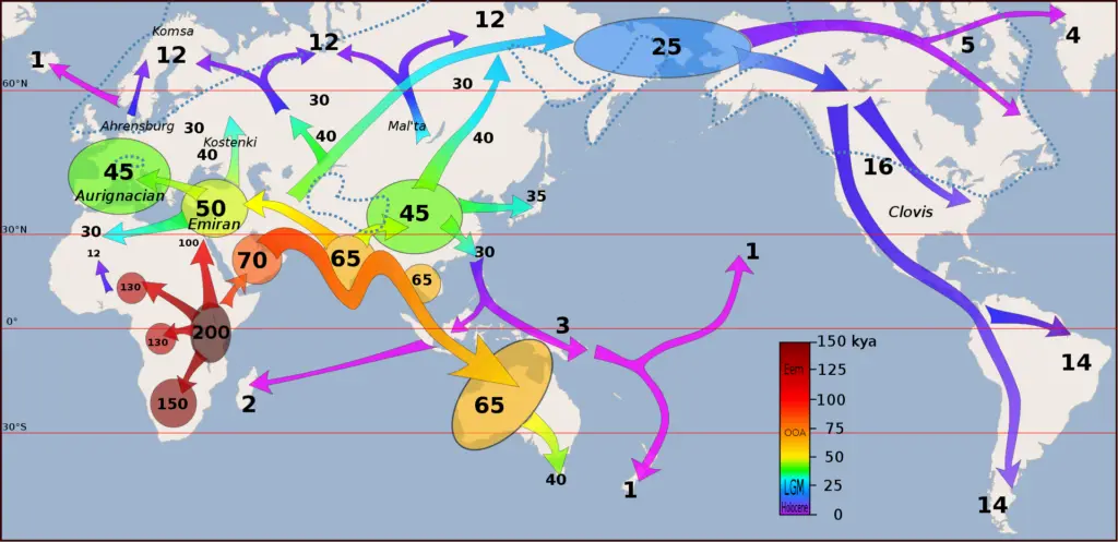 Map of early human migrations from Africa across the world