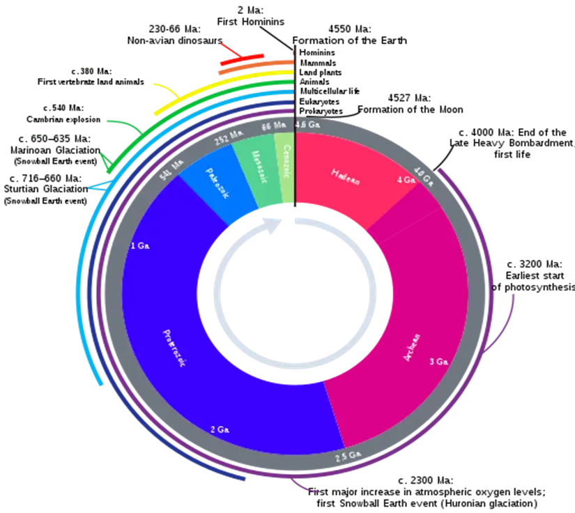 Geologic clock showing Earth's 4.5 billion year history and the late appearance of hominins